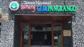 Gunung Gede Pangrango Dibuka Lagi via 3 Pintu Masuk, Cuma Terima 600 Pendaki Tiap Hari