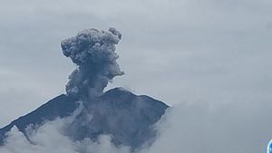 Semeru Erupts Several Times With Eruption Height Up To 1,200 Meters