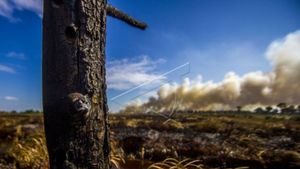 Satgas Karhutla Turun ke Lapangan, Pantau Lokasi Rawan Kebakaran di Jambi