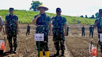 KSAD Tunjuk  Banjarbaru dan Sukabumi Jadi Percontohan Lahan Ketahanan Pangan