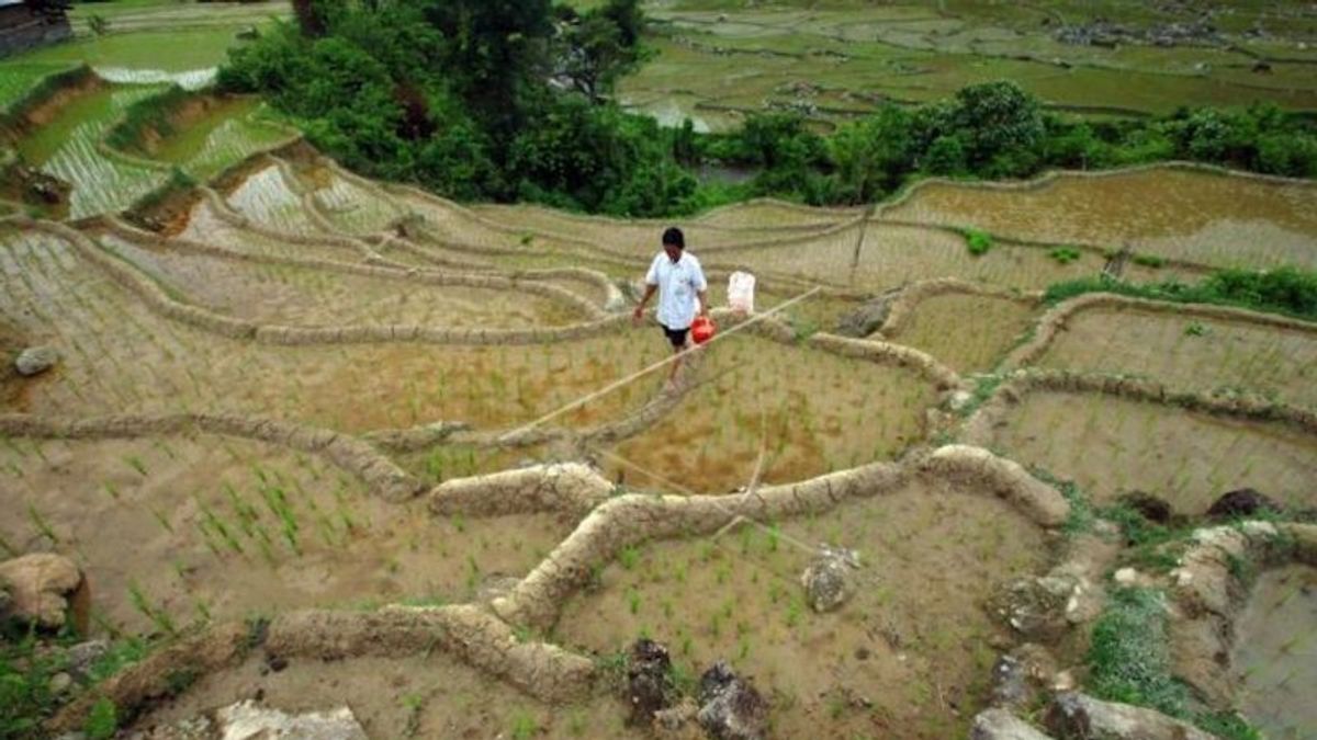 Good News, Three Farmers' Groups In Padang Received Organic Fertilizer Processing Assistance