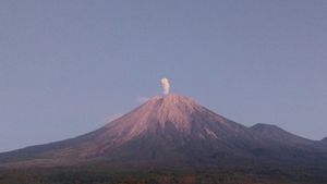 Gunung Semeru Erupsi Lontarkan Abu Vulkanik Setinggi 800 Meter 