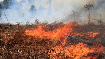 Aceh Enters The Period Of Weather Transition To Drought