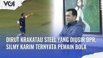 视频：被众议院驱逐的Krakatau Steel总监Silmy Karim原来是一名足球运动员