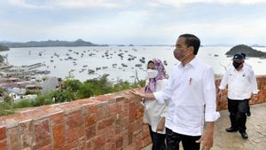 Astindo Mohon ke Jokowi Batalkan Kenaikan Tiket Masuk Taman Nasional Komodo