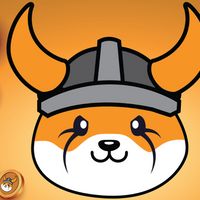 Floki Inu Burn Token FLOKI Besar-Besaran, Ini Tujuannya!