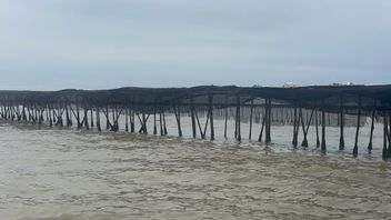 Sea Fence In Tangerang Potentially Disrupts 4,463 Fishermen