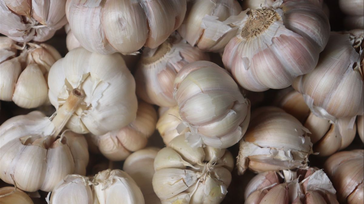 Protectionism Is Important, But Upstream Garlic Farming Problems Must Also Be Addressed