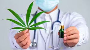 Legalisasi Ganja Medis Harus Berdasar Riset, Bukan Sekadar Kesaksian