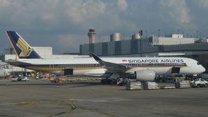 Sayap Senggolan dengan Pesawat Lain di Darat, Singapore Airlines Batalkan Penerbangan dari San Francisco 