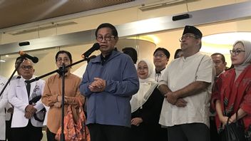 Pramono Anung Considers The Jakarta Gubernatorial Election To Be Like David's Opponent