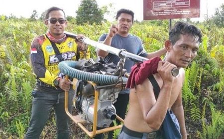 Pemulihan Lahan Gambut di Kalimantan Jadi Syarat Pengembangan Program Pangan