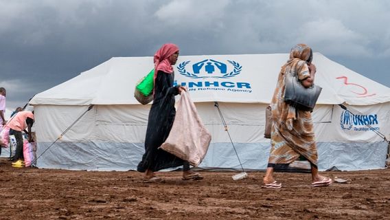 Anggaran Dipangkas, UNHCR Pecat Ribuan Pekerja