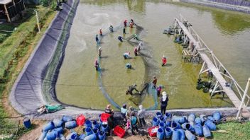 Apprendre à Connaître Delos, Une Start-up Aquatech Que Rambah Shrimp Farm Sector: La Production Est Multipliée Par 3
