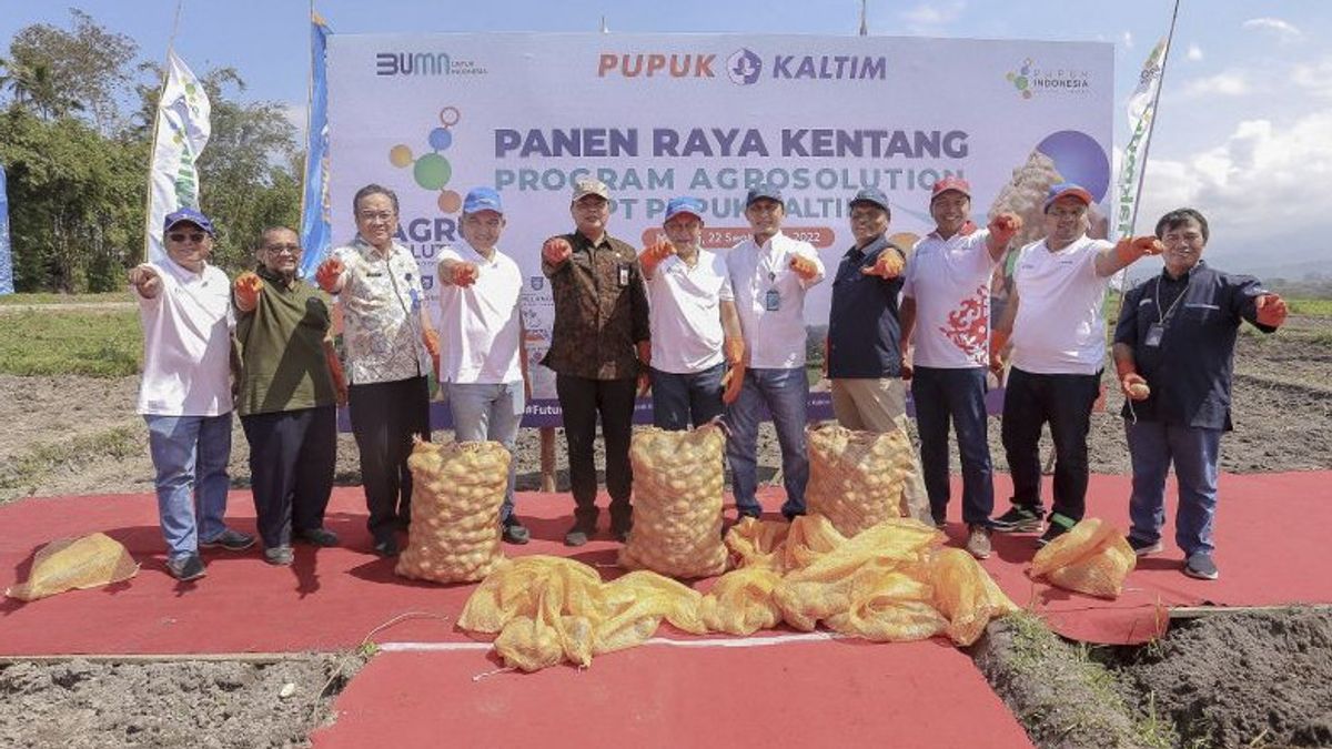 برنامج Pupuk Kaltim للحلول الزراعية يعزز إنتاجية المزارعين مرة أخرى ، في قرية Ngantru Malang حصاد كبير من البطاطس 33.9 طن لكل هكتار
