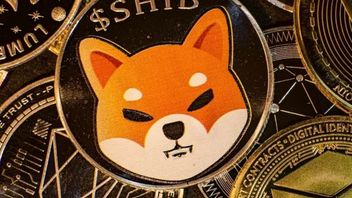 Shiba Inu Flying In The Middle Of The Viral GameStop Token, This Is The Cause!