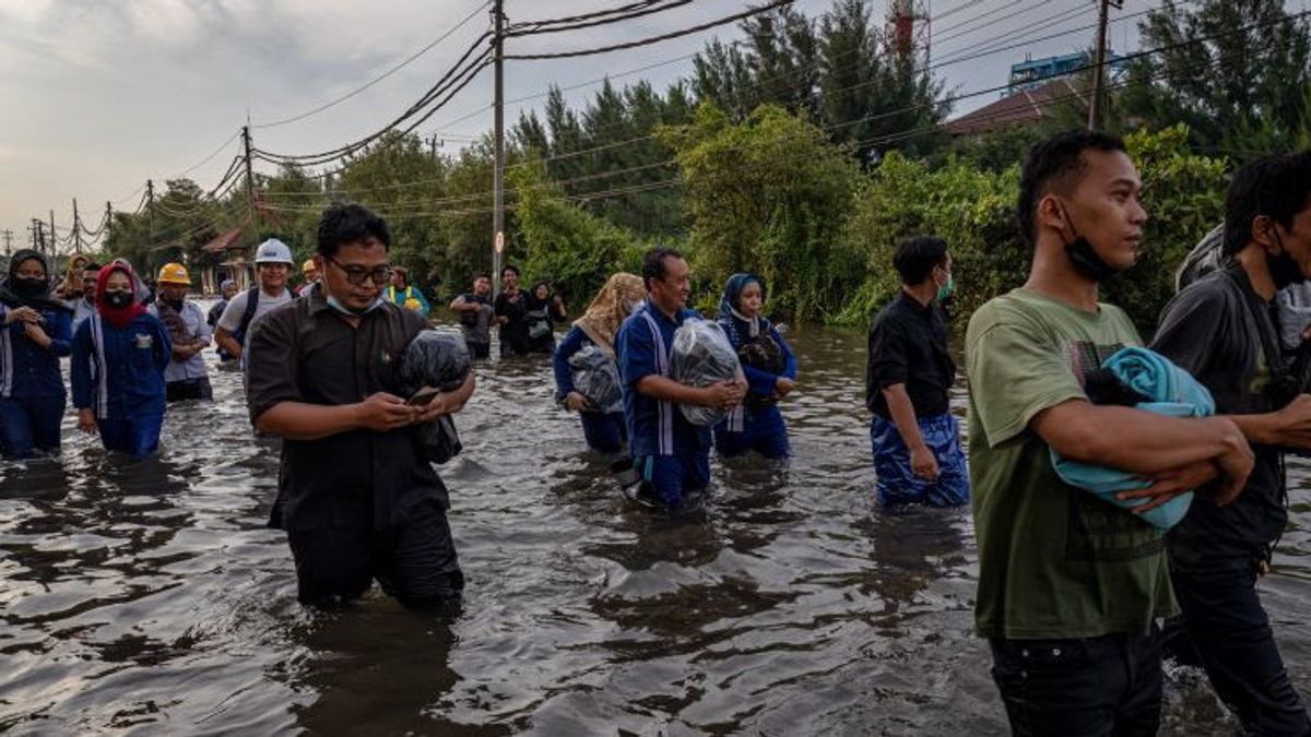 Terminal Peti Kemas Semarang Hentikan Operasional Akibat Banjir Rob