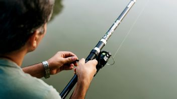 لا تتخلى عن حذرك! هذا هو امتصاص سمك باتين البحار الذي يصعب تناوله ، الإضراب المباشر!