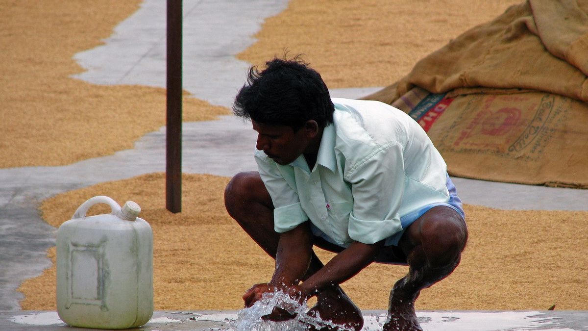 India's Rice Export Ban Triggers Inflation Concerns