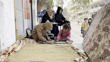 忍受饥饿,加沙居民被迫吃牲畜食品