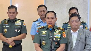 Panglima TNI Segera Revisi SOP Pemusnahan Amunisi