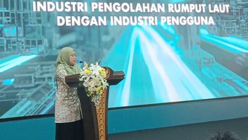 وزارة الصناعة بعنوان اجتماع أعمال صناعة الأعشاب البحرية ، استهدفت قيمة المعاملات 15 مليار روبية إندونيسية