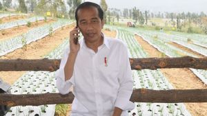 Bawang Putih Impor Masuk Temanggung Saat Panen, Jokowi Telepon Muhammad Lutfi: Pak Menteri...