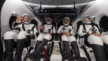 SpaceX Endurance Lands Safely In Gulf Of Mexico, Brings 4 Astronauts Back To Earth
