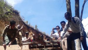 13 satwa Titip Rawat Ditreskrimsus Polda Papua Dilepasliarkan ke Habitat Asli