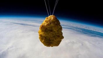 英国のスーパーマーケットは、宇宙にチキンナゲットを「飛ぶ」