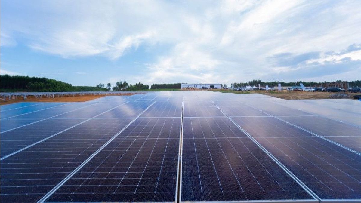 IESR Temukan Potensi EBT Tenaga Surya-Angin di NTT Capai 30 GW