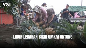 Lebaran, Timus Goreng Karanganyar to Nanas Subang 