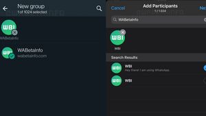 Grup WhatsApp Bisa Segera Tampung 1.024 Peserta