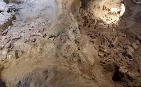 Arkeolog Italia Ungkap Penemuan Fosil Neanderthal di Grotta Guattari