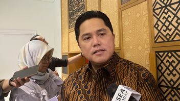 Erick Thohir: There are Two Options Offered in the Vale Share Price Divestment Negotiations