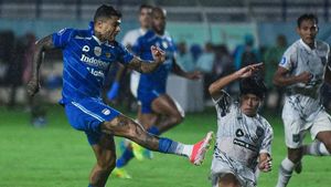 Liga 1 2023/2024 Results: Persib Secures Tripoin, Arema FC Participates In Stealing Full Points