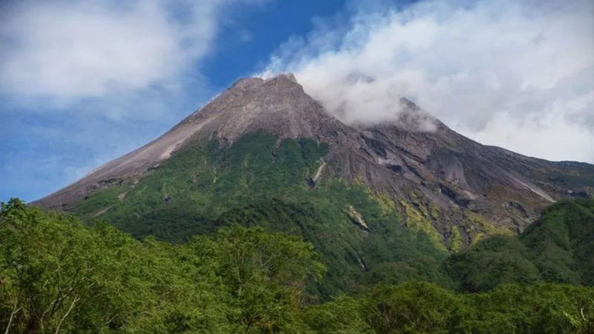 Naik Gunung Merapi di Tengah Larangan, 20 Pendaki Asal Sragen, Solo hingga Boyolali Ditangkap