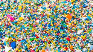 Penelitian Ungkap Manusia Hirup 70 Ribu Partikel Mikroplastik Setiap Hari   
