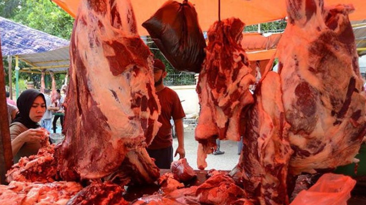 满足禁食和开斋节 2021 的需求， 19 集装箱从巴西进口牛肉进入印度尼西亚