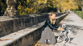 This Tourism City Applies Daily And Annual Taxes For Dogs