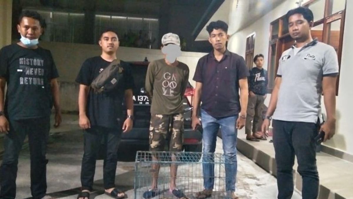 非法慢懒猴卖家被阿加姆警方联合小组逮捕