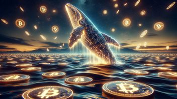 Bitcoin Drops Below IDR 1 Billion, Crypto Whale Takes Advantage Of Moments To Buy BTC