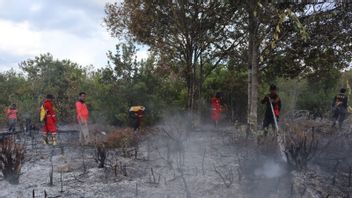 BPBDは、雨がベリトゥンの森林火災や土地火災の処理を支援したことに感謝しています