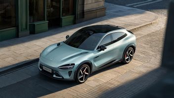 新玉米寿命,小米进入中国新能源汽车销量最多的前10名