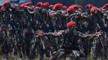 بانغدام الثاني/سوج: جنود القوات المسلحة الإندونيسية يلعبون المقامرة عبر الإنترنت الإجراءات القانونية