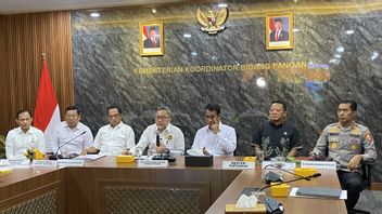 Pemerintah Putuskan Hapus Kasta Beras Premium dan Medium
