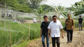 支持粮食安全,Moeldoko鼓励帕苏鲁安的年轻农民生产卓越的水稻种子产品
