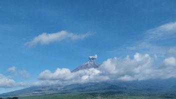 スメル山噴火3回、最大600メートルの噴火