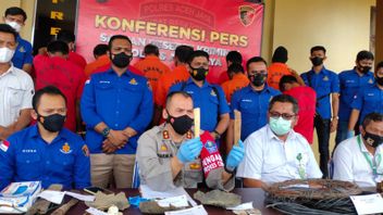 Police Arrest 11 Perpetrators Of The Death Of 5 Elephants In Aceh Jaya