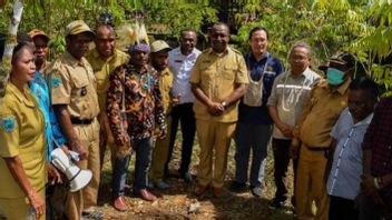 Pemerintah Segera Bangun Pembangkit Listrik Mikro Hidro di Papua Barat